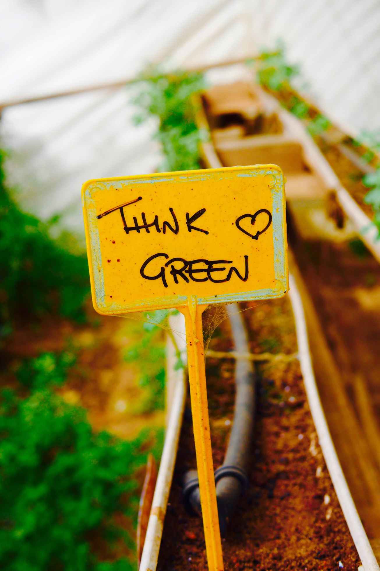 unbenannte Fotosession-1050878 Kopie