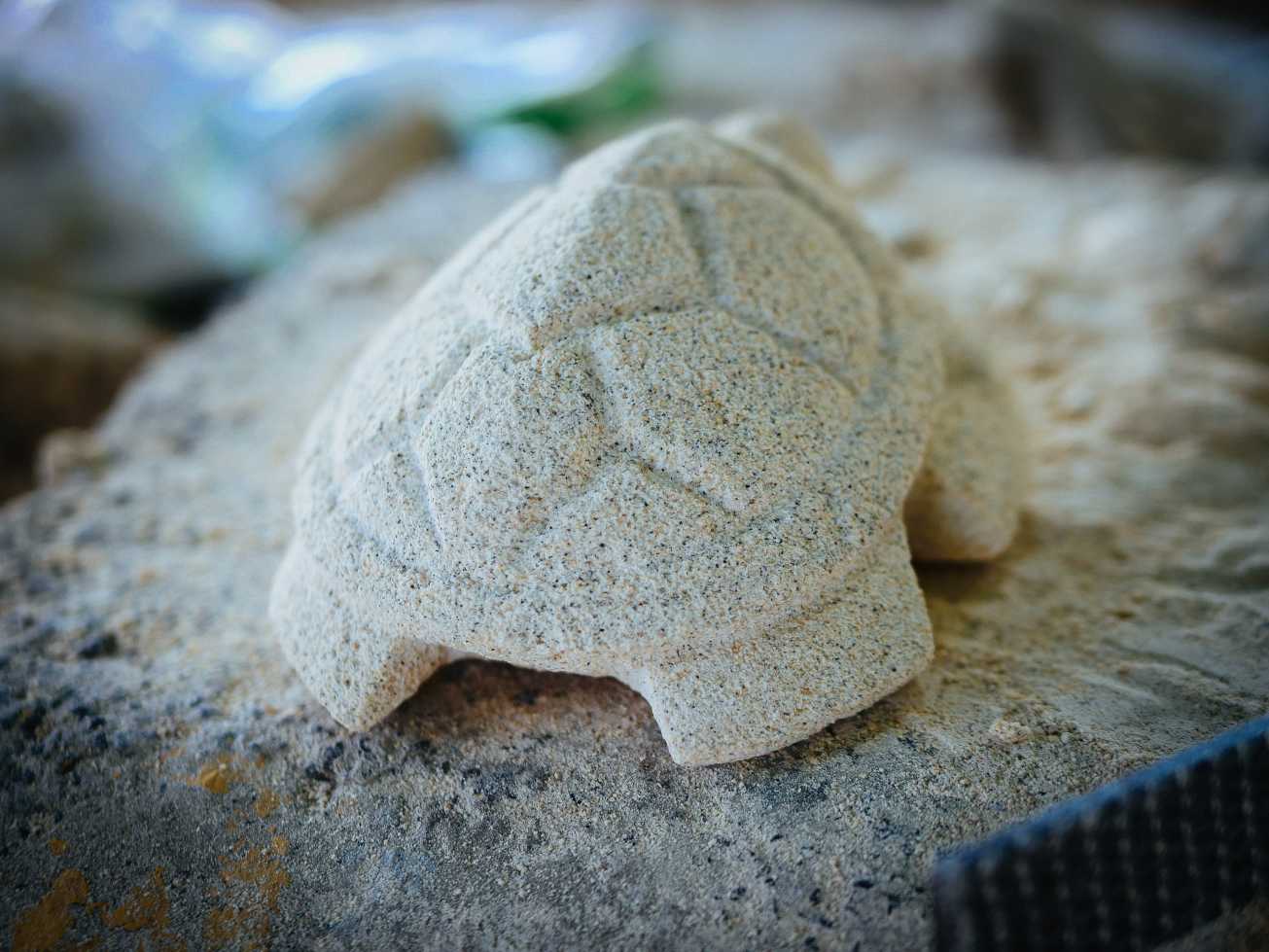 unbenannte Fotosession-1040577 Kopie