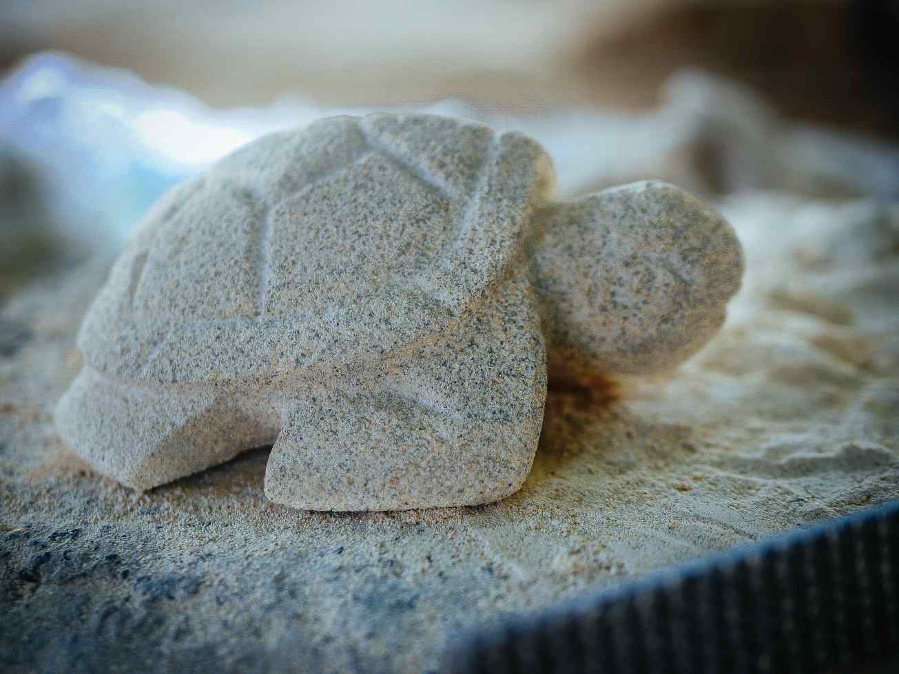 unbenannte Fotosession-1040578-2 Kopie.jpg