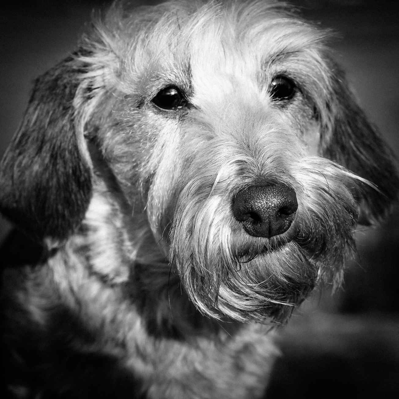 unbenannte Fotosession-1010796-2 Kopie