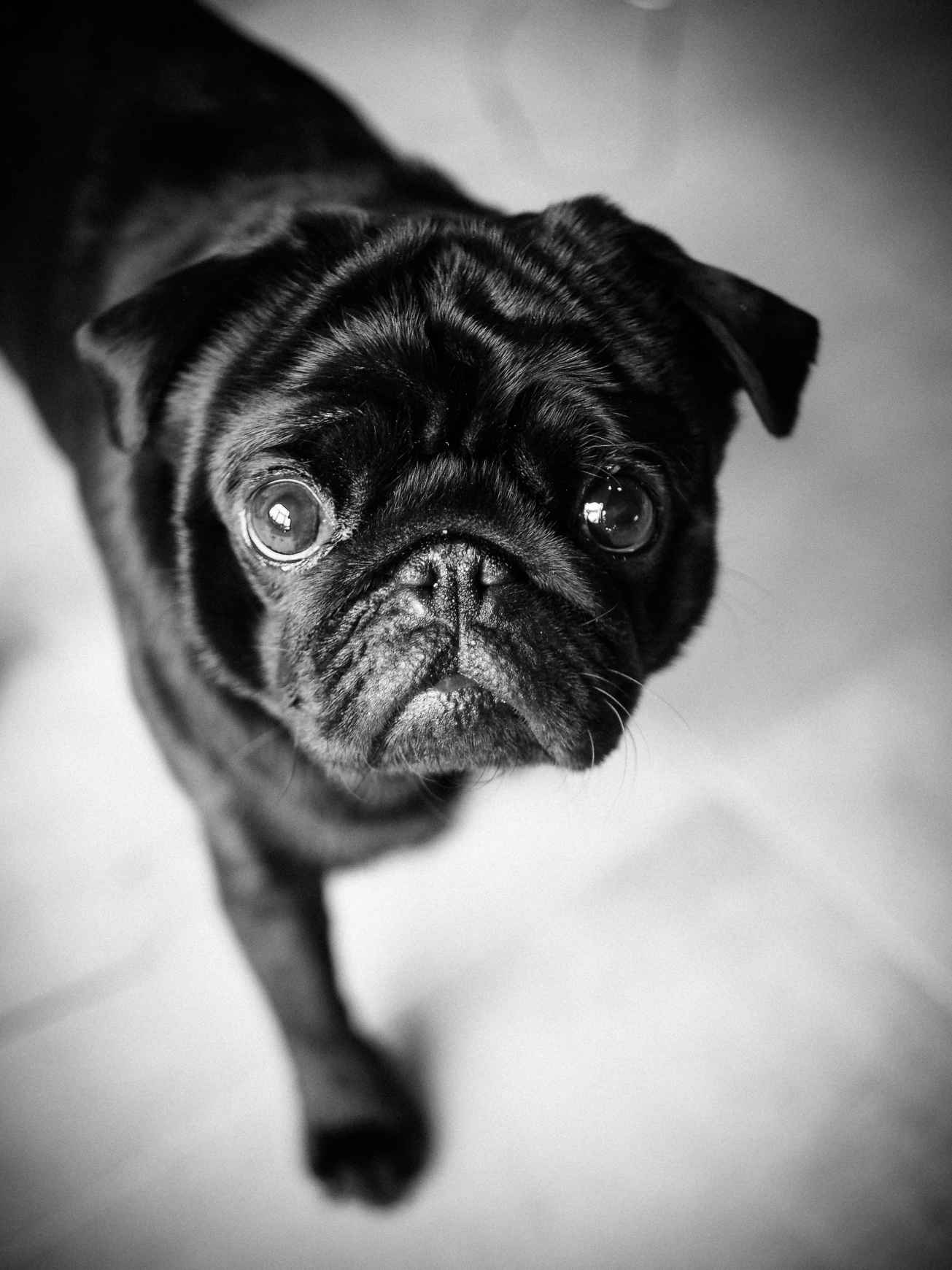 unbenannte Fotosession-1011204 Kopie.jpg