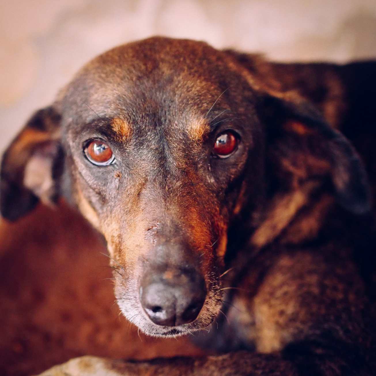 unbenannte Fotosession-1100798-2-2 Kopie