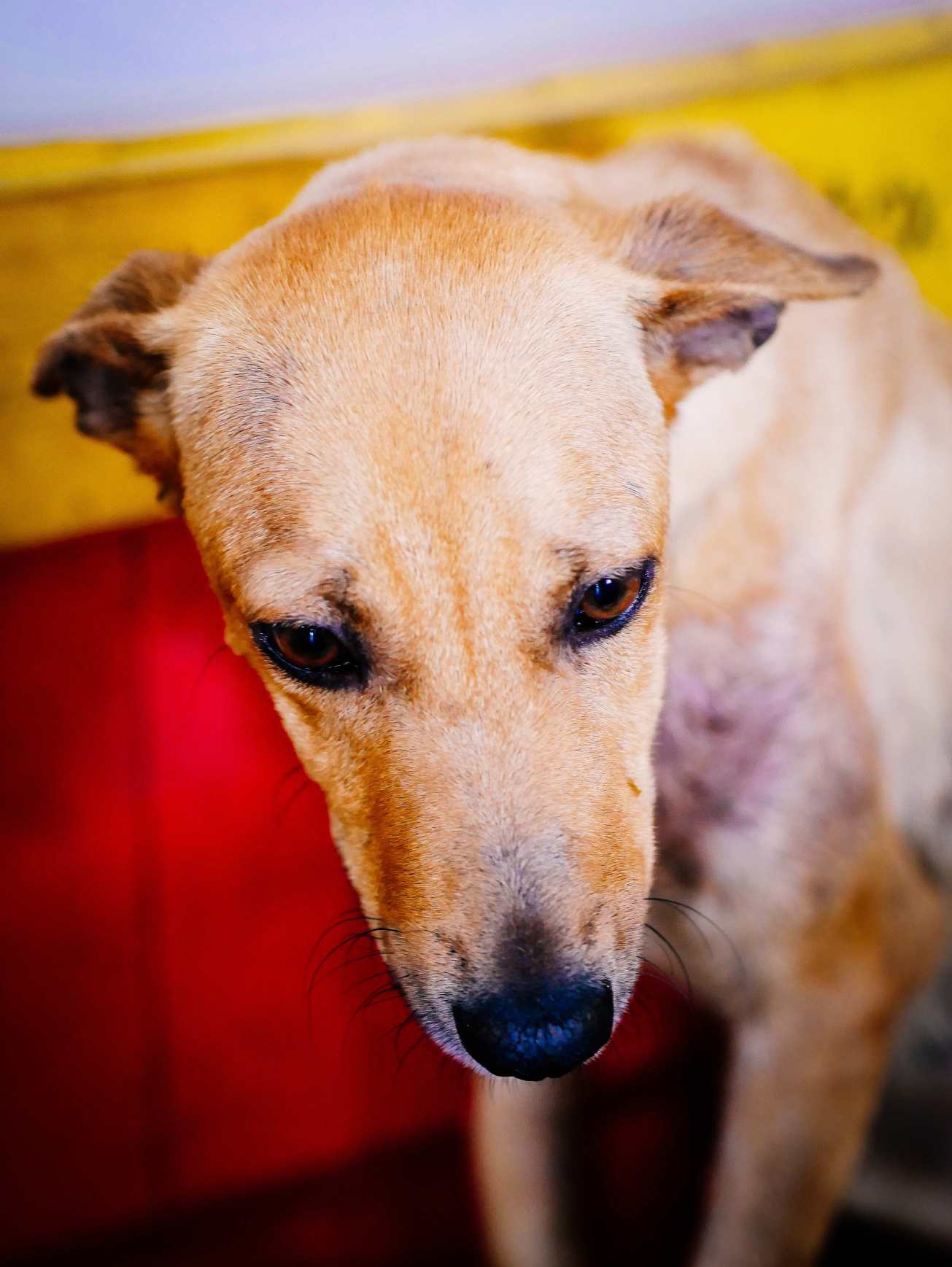 unbenannte Fotosession-1100845 Kopie