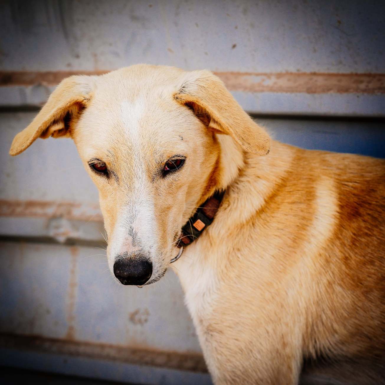 unbenannte Fotosession-1110053 Kopie