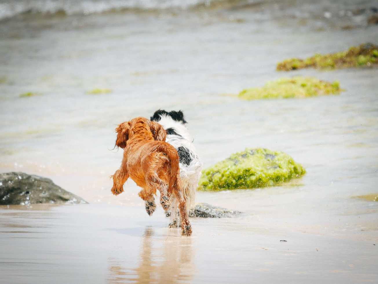 unbenannte Fotosession-1080017 Kopie