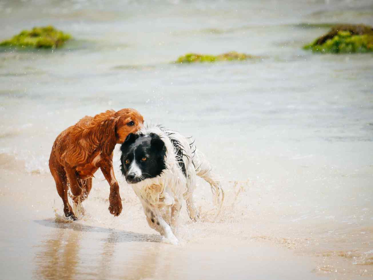 unbenannte Fotosession-1080018 Kopie