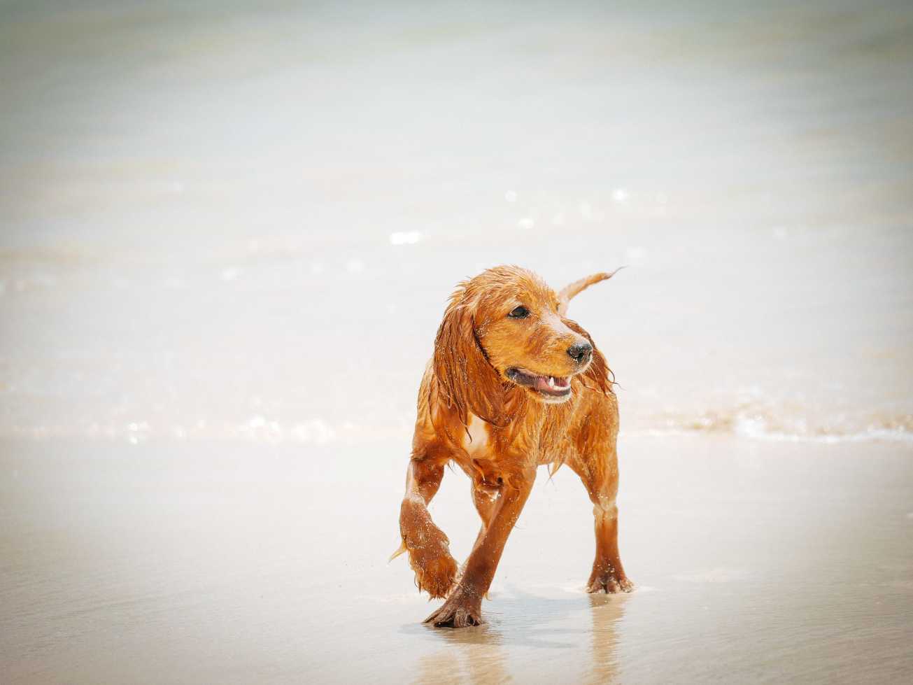 unbenannte Fotosession-1080027 Kopie