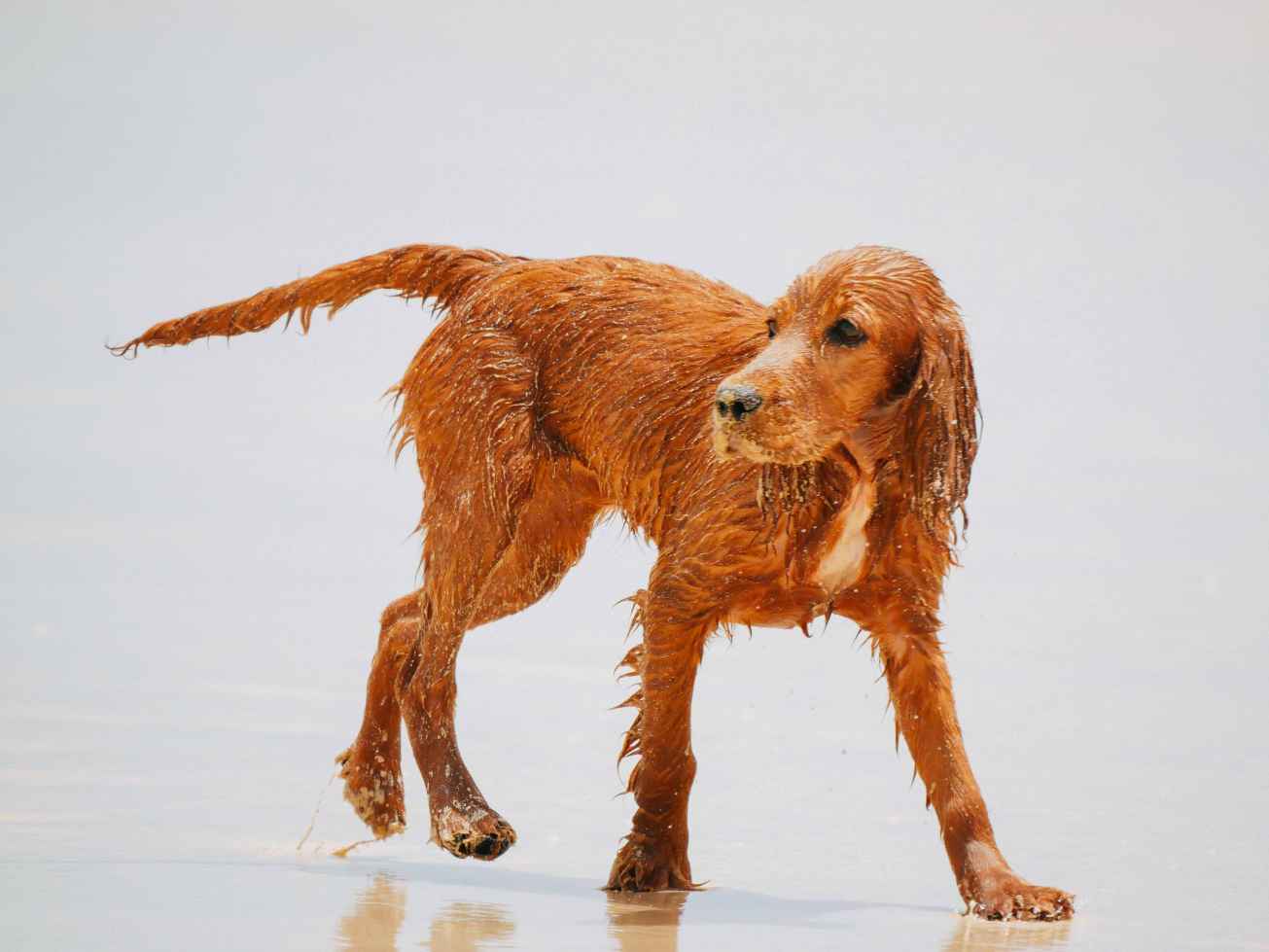 unbenannte Fotosession-1080039 Kopie