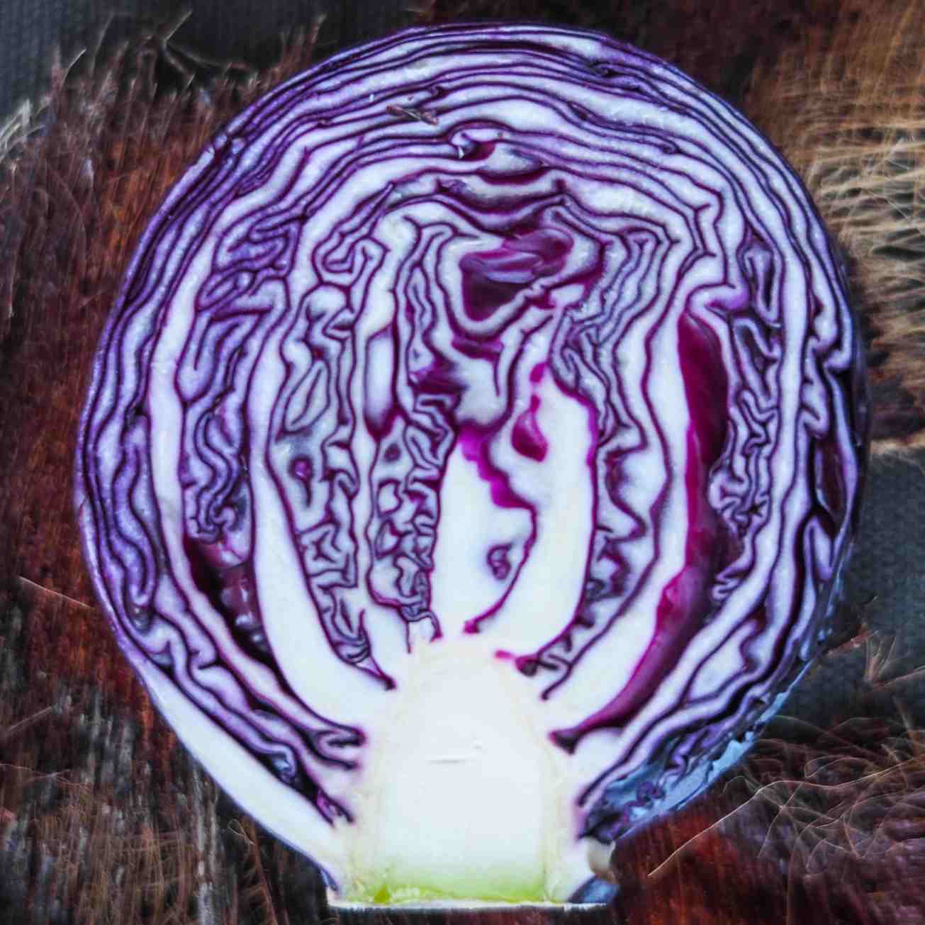 unbenannte fotosession-1010051 kopie