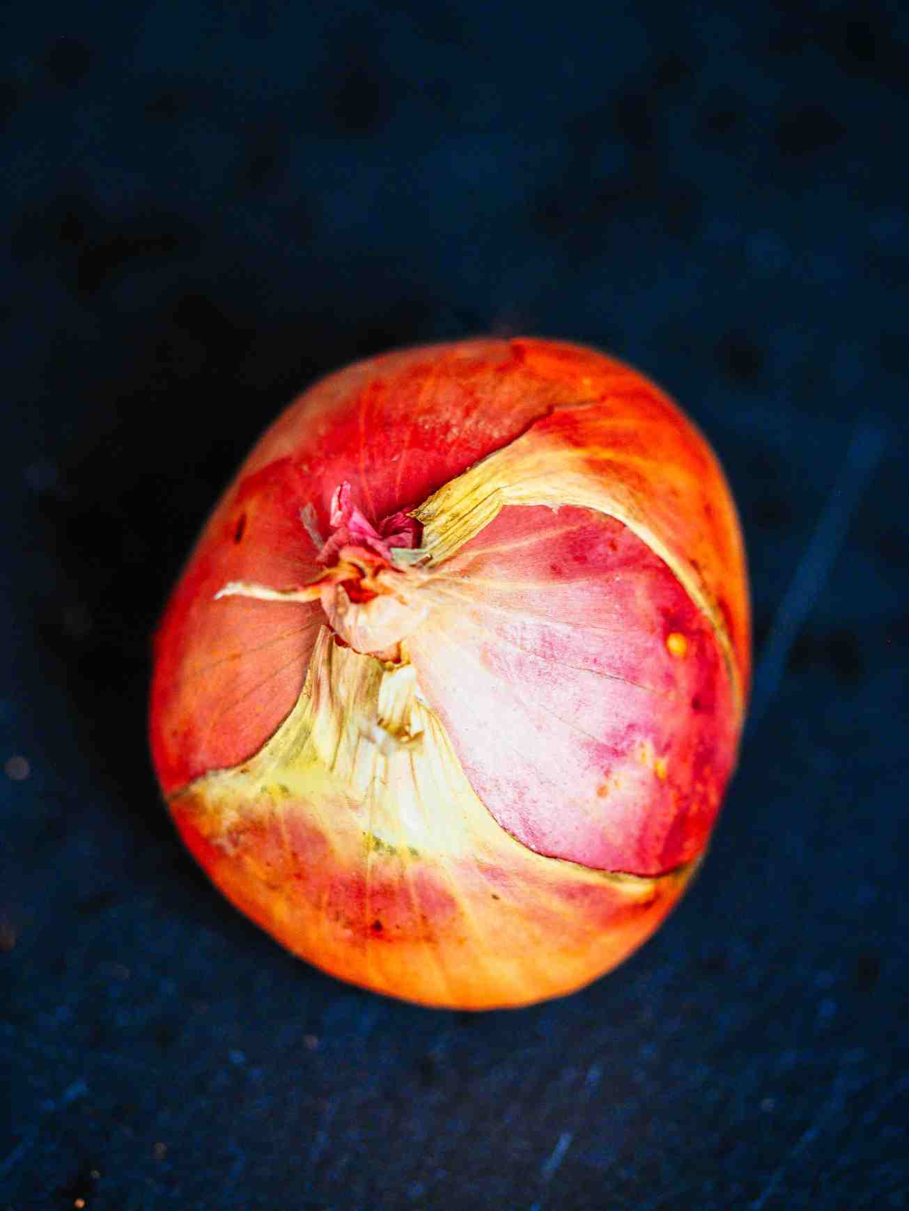 unbenannte fotosession-1010221-2-2 kopie