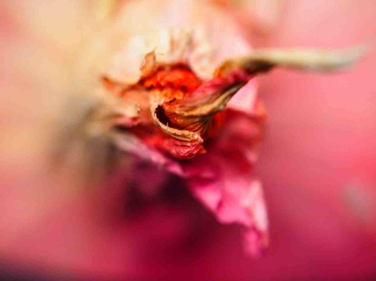 unbenannte fotosession-1010235 kopie