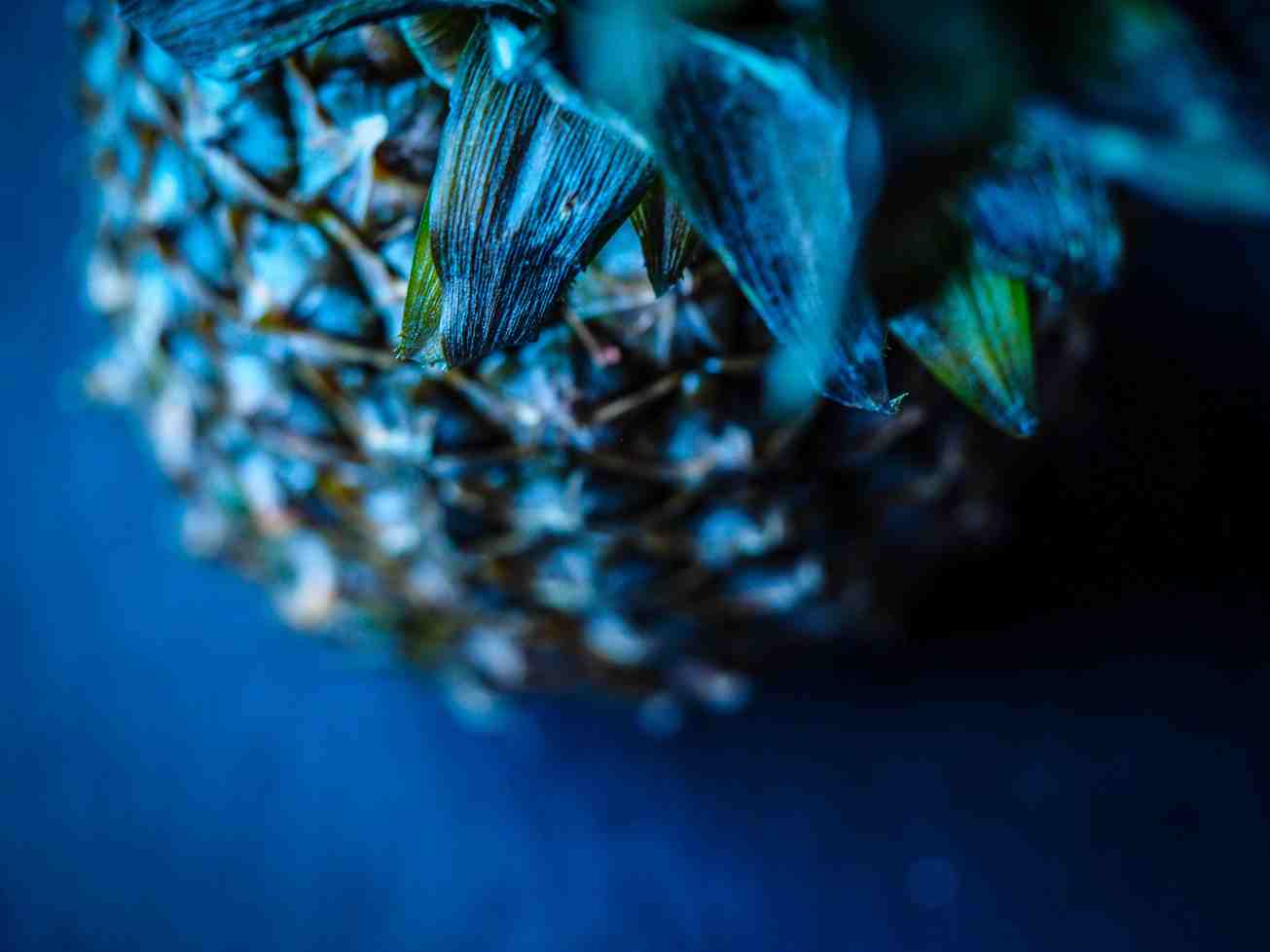 unbenannte fotosession-1010588-2 kopie