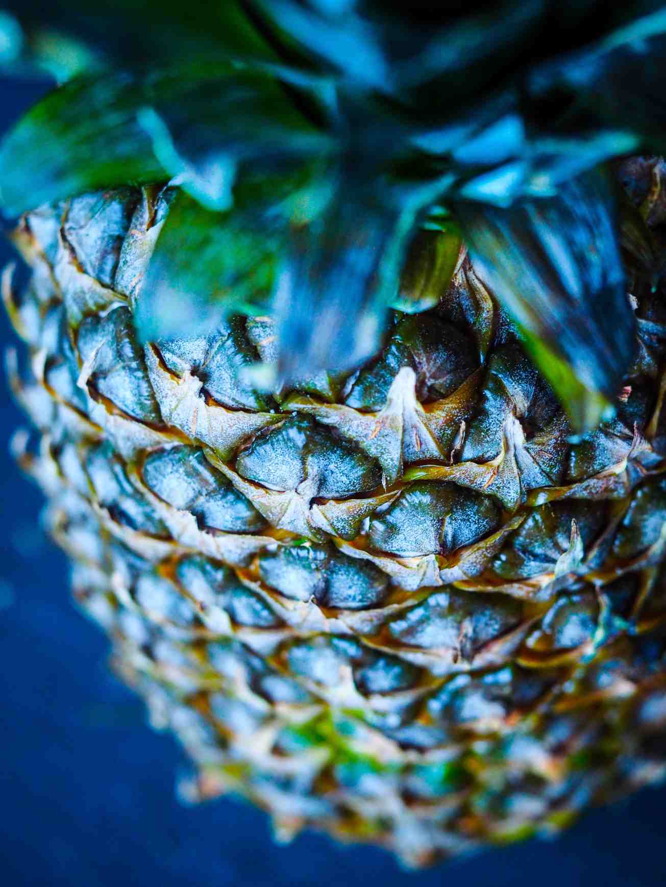 unbenannte fotosession-1010598 kopie