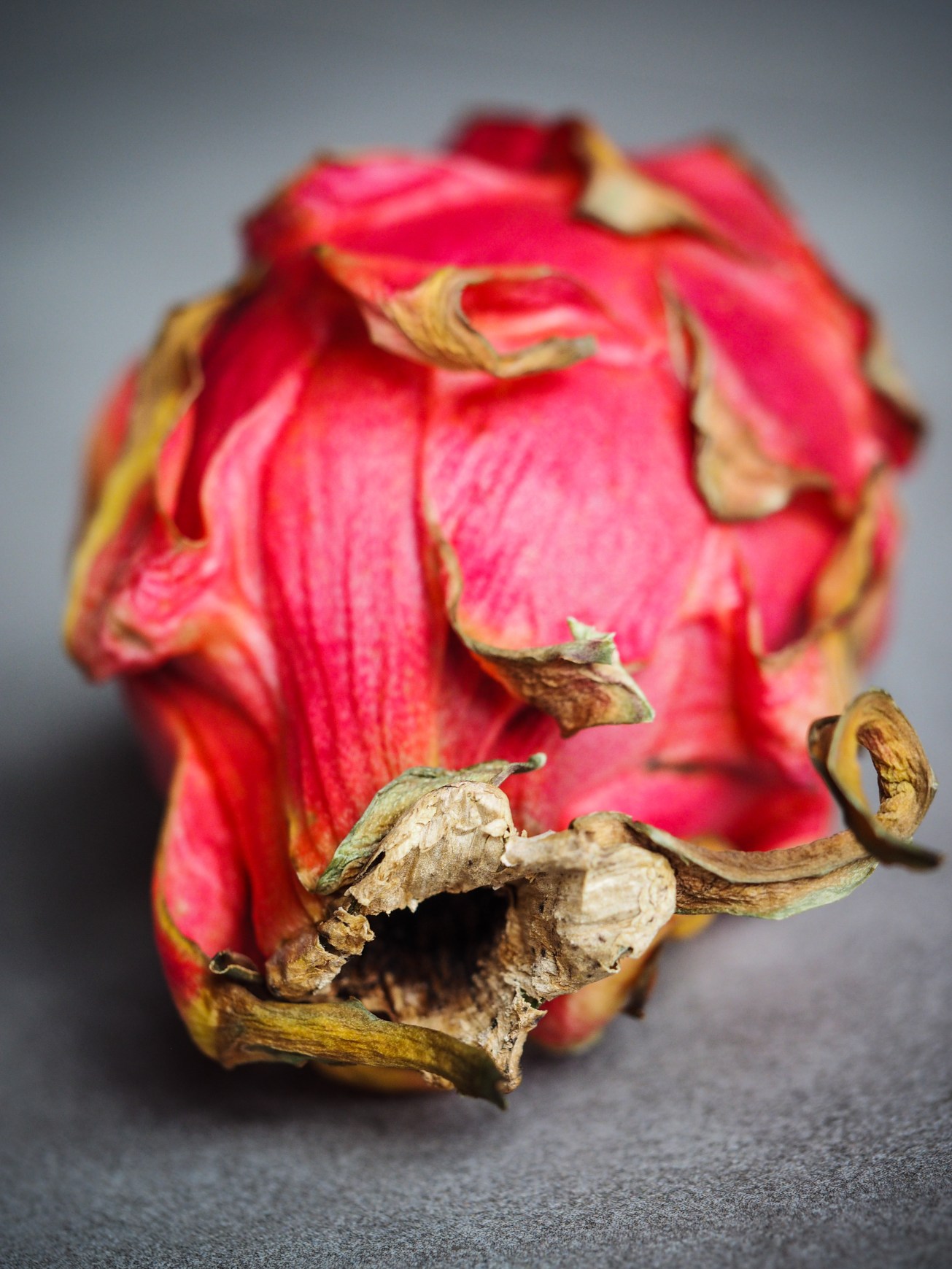 unbenannte Fotosession-1010889-2 Kopie