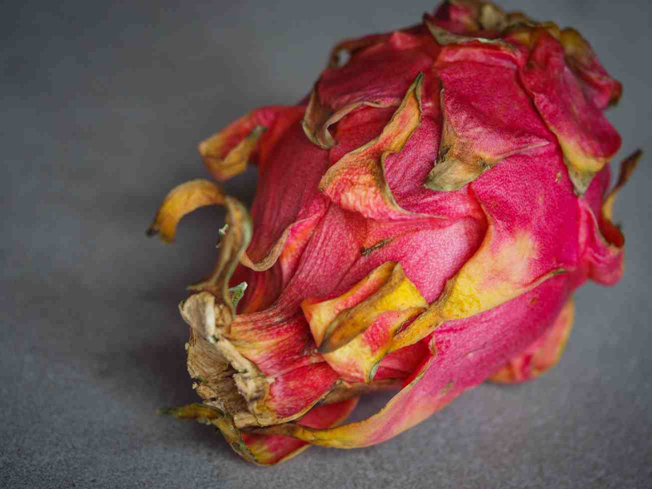 unbenannte Fotosession-1010897 Kopie