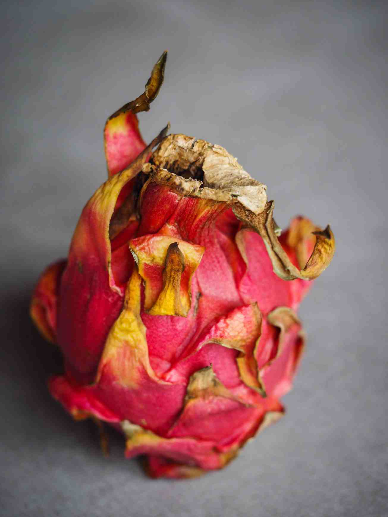 unbenannte Fotosession-1010919-3 Kopie