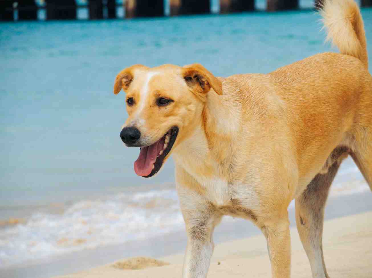 unbenannte Fotosession-3-89 Kopie